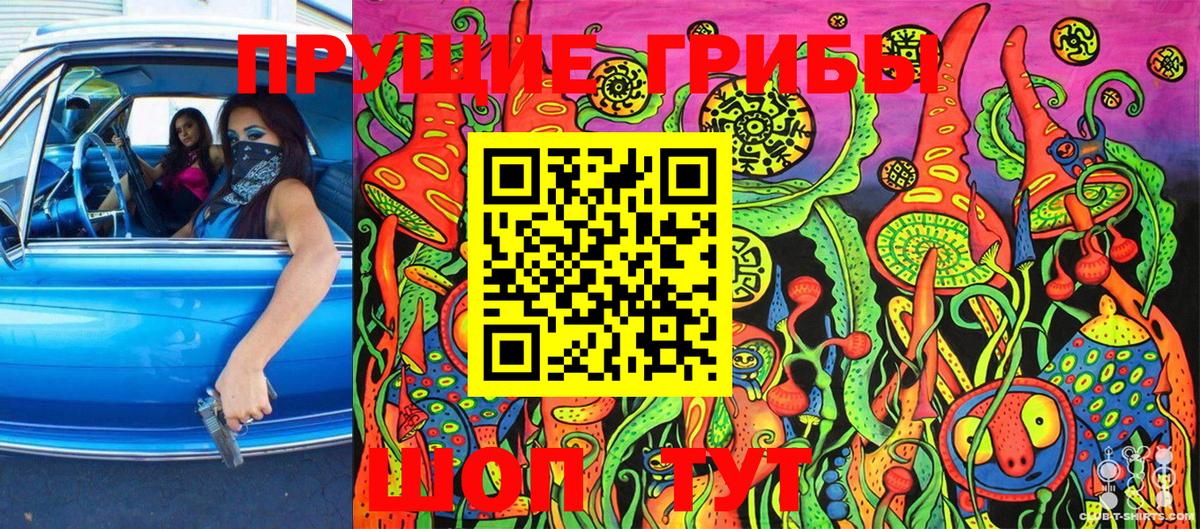 Псилоцибиновые грибы GOLDEN TEACHER Бугуруслан