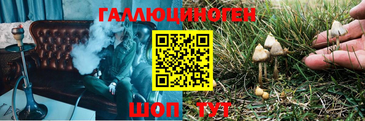 Бугуруслан  Псилоцибиновые грибы мицелий  Вход с VPN 